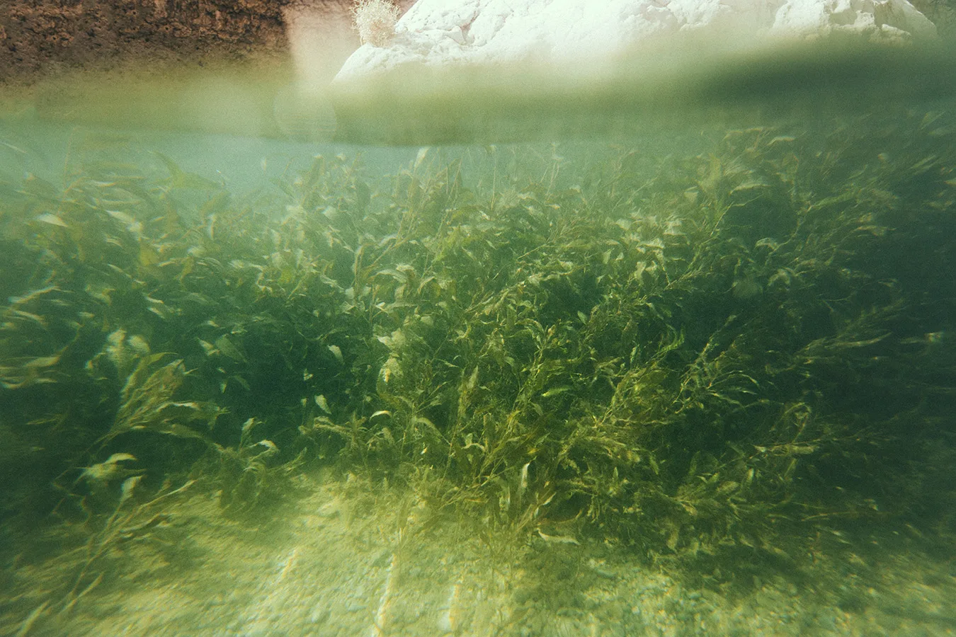 Wadi Shab, Oman